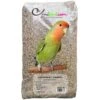 Agapornides Champion - Ornibird, Mélange Pour Inséparables 20kg -Oiseau Fournitures Boutique agapornides champion ornibird melange pour inseparables 20kg 199295202 private label ornibird melange de graines pour agapornide