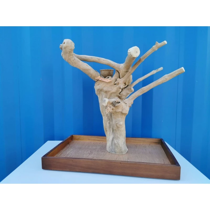 Aire De Jeux En Bois De Java Avec Socle - Medium - Back Zoo Nature 4 Aire De Jeux En Bois De Java Avec Socle - Medium - Back Zoo Nature – Image 2