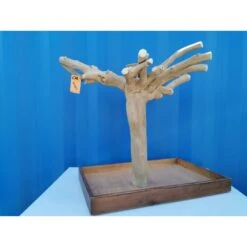 Aire De Jeux En Bois De Java Avec Socle - Medium - Back Zoo Nature 12 Aire De Jeux En Bois De Java Avec Socle - Medium - Back Zoo Nature -Oiseau Fournitures Boutique aire de jeux en bois de java avec socle medium back zoo nature zf1113 back zoo nature aire de jeux en bois de java avec socle et 3