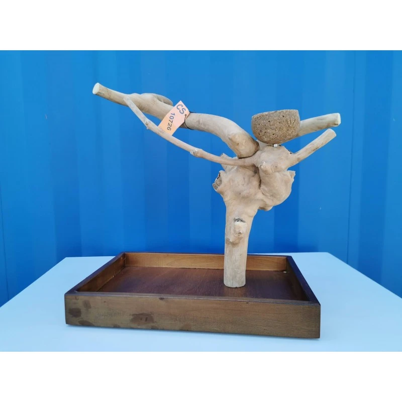 Aire De Jeux En Bois De Java Avec Socle - Small - Back Zoo Nature 5 Aire De Jeux En Bois De Java Avec Socle - Small - Back Zoo Nature – Image 3