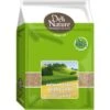 Alpiste Extra 5kg - Deli Nature -Oiseau Fournitures Boutique alpiste extra 5kg deli nature 027327 deli nature lalpiste est une graminee plante annuelle pouvant atteindre 1m de haut les grai