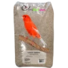 Alpiste Ou Millet Plat 20kg - Ornibird 2 Alpiste Ou Millet Plat 20kg - Ornibird -Oiseau Fournitures Boutique alpiste ou millet plat 20kg ornibird 700135 private label ornibird lalpiste est une graminee plante annuelle pouvant atteindre 1
