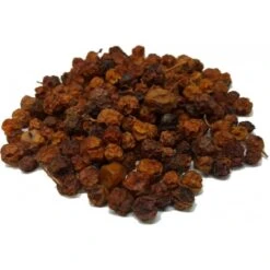 Baie De Sorbier Des Oiseleurs Au Kg - Ornibird -Oiseau Fournitures Boutique baie de sorbier des oiseleurs au kg ornibird 103041250 kg grizo baie du sorbier en fruit seche dont les becs crochus indigenes e 3