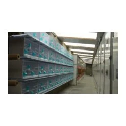 Batterie De 12 Cages 64x30x34 Modèle Champion- New Canariz -Oiseau Fournitures Boutique batterie de 12 cages 64x30x34 modele champion new canariz 3000 new canariz livree avec un systeme de rouleaux de papier comme fo 18