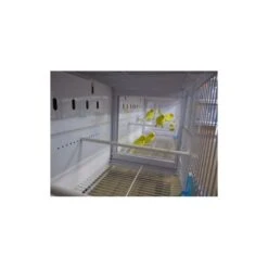 Batterie De 12 Cages 64x30x34 Modèle Champion- New Canariz -Oiseau Fournitures Boutique batterie de 12 cages 64x30x34 modele champion new canariz 3000 new canariz livree avec un systeme de rouleaux de papier comme fo 4