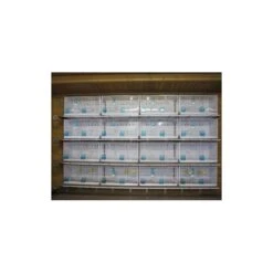 Batterie De 12 Cages 64x30x34 Modèle Champion- New Canariz -Oiseau Fournitures Boutique batterie de 12 cages 64x30x34 modele champion new canariz 3000 new canariz livree avec un systeme de rouleaux de papier comme fo 9
