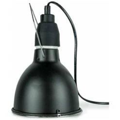 Bird Sun UV-Lamp System - Back Zoo Nature 10 Bird Sun UV-Lamp System - Back Zoo Nature -Oiseau Fournitures Boutique bird sun uv lamp system back zoo nature zf7750 back zoo nature eclairage uv professionnel de back zoo nature pour oiseaux la lam 3