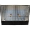 Cage Exposition Caille Noir En PVC -Oiseau Fournitures Boutique cage exposition caille noir en pvc 87212611 ost belgium cage dexposition pour caille avec facade noire entierement en plastique
