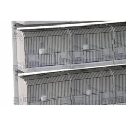 Cage Exposition Plastique 36x17x30cm - 2G-R 11 Cage Exposition Plastique 36x17x30cm - 2G-R -Oiseau Fournitures Boutique cage exposition plastique 36x17x30cm 2g r art 315fn3 2g r cage de preparation avec facade noire 1 porte centrale avec ressort et 3