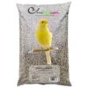 Canaris - Ornibird, Mélange Pour Canaris 20kg -Oiseau Fournitures Boutique canaris ornibird melange pour canaris 20kg 700120 private label ornibird melange de graines pour canaris composition graines dal