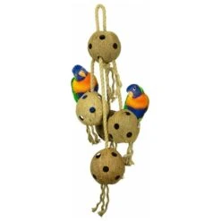 Coconut Chain XL 70cm - Back Zoo Nature