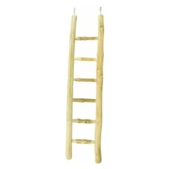 Echelle Bois 60cm - Back Zoo Nature 6 Echelle Bois 60cm - Back Zoo Nature -Oiseau Fournitures Boutique echelle bois 60cm back zoo nature zf1122 back zoo nature lechelle java back zoo nature est une echelle 100 naturelle sur laquell 1