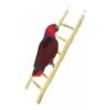 Echelle Bois 60cm - Back Zoo Nature -Oiseau Fournitures Boutique echelle bois 60cm back zoo nature zf1122 back zoo nature lechelle java back zoo nature est une echelle 100 naturelle sur laquell