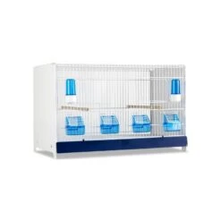 Ensemble De 4 Cages 60x33x33cm Avec Chariot ART.90 - Modèle Einstein - Italgabbie -Oiseau Fournitures Boutique ensemble de 4 cages 60x33x33cm avec chariot art90 modele einstein italgabbie art90 4 t italgabbie ensemble de 4 cages a tiroirs 1 2