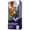 Expert Base Oiseaux Indigènes 20kg - Witte Molen 1 Expert Base Oiseaux Indigènes 20kg - Witte Molen -Oiseau Fournitures Boutique expert base oiseaux indigenes 20kg witte molen 652225 witte molen composition millet blanc graines a canari graines de navet gra