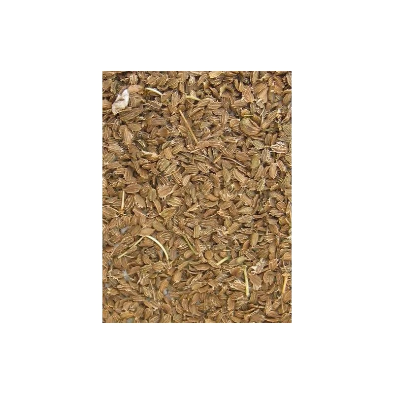 Graines De Carotte 20kg - Grizo 3 Graines De Carotte 20kg - Grizo