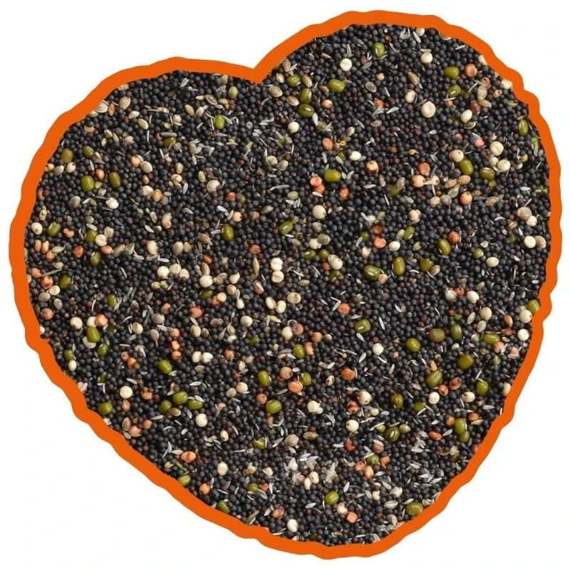 Graines De Germination Mix 20kg - Duvo+ 4 Graines De Germination Mix 20kg - Duvo+ – Image 2