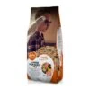 Grand Perruche Mix 20kg - Duvo+ -Oiseau Fournitures Boutique grand perruche mix 20kg duvo 12309 duvo specifications alimentation delicieuse et equilibree pleine de graines nutritives convie