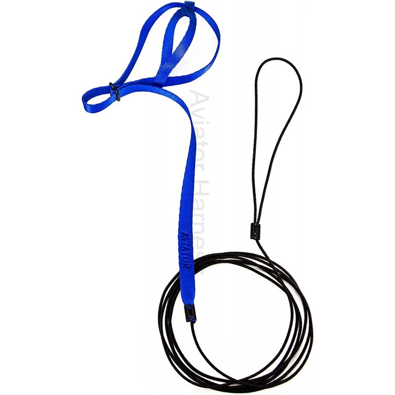 Harnais Pour Perroquet AVIATOR X-Small Bleu 4 Harnais Pour Perroquet AVIATOR X-Small Bleu – Image 2