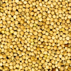 Millet Blanc Extra 20kg - Duvo 5 Millet Blanc Extra 20kg - Duvo -Oiseau Fournitures Boutique millet blanc extra 20kg duvo 570 duvo millet blanc extra 20kg duvo 1