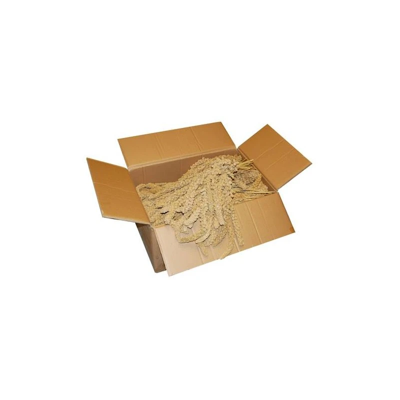 Millet Jaune En Grappes Chinois 15kg 4 Millet Jaune En Grappes Chinois 15kg – Image 2