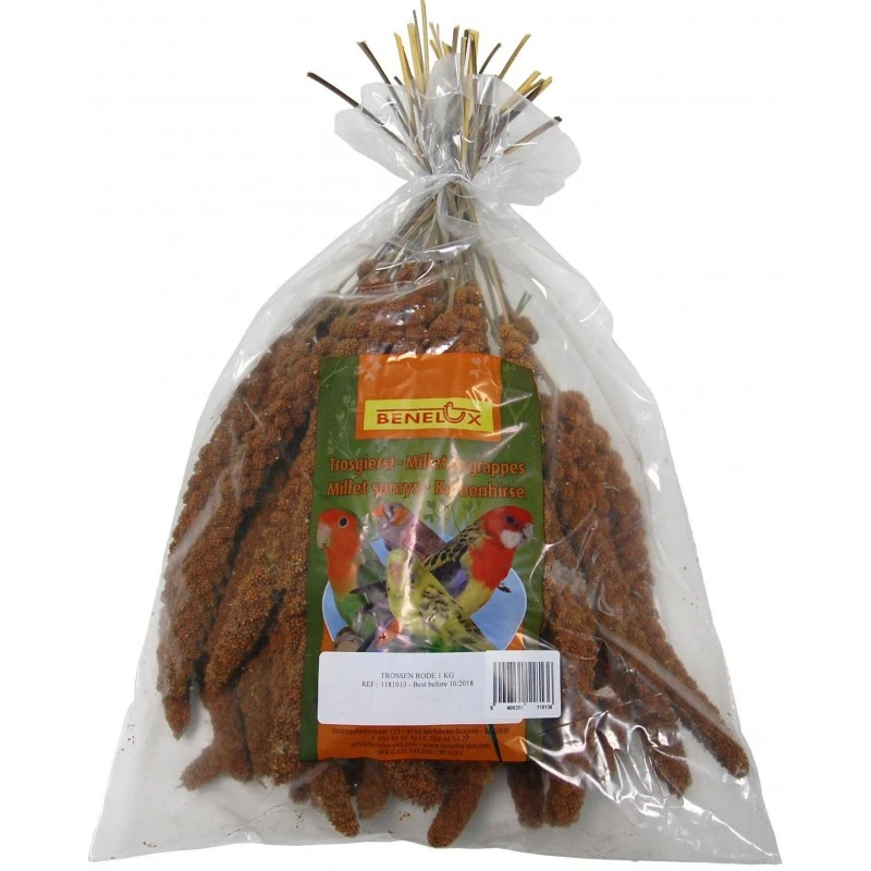 Millet Rouge En Grappes Anjou 1kg 3 Millet Rouge En Grappes Anjou 1kg