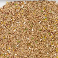 N°11 Perruches Colormix 20kg - Deli Nature -Oiseau Fournitures Boutique n11 perruches colormix 20kg deli nature 006411 deli nature est un melange de base standard enrichi de morceaux de biscuits aux f 1