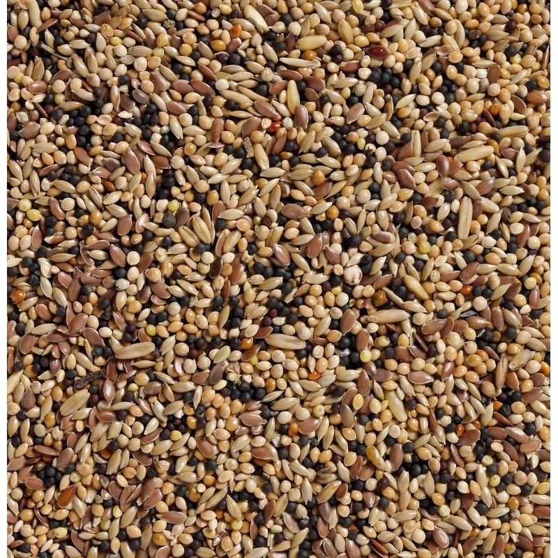 N°34 Volière 20kg - Deli Nature 4 N°34 Volière 20kg - Deli Nature – Image 2