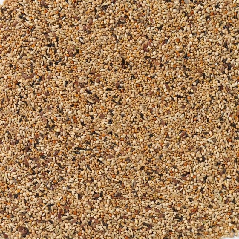 N°41 Oiseaux Exotiques Elevage 20kg - Deli Nature 4 N°41 Oiseaux Exotiques Elevage 20kg - Deli Nature – Image 2