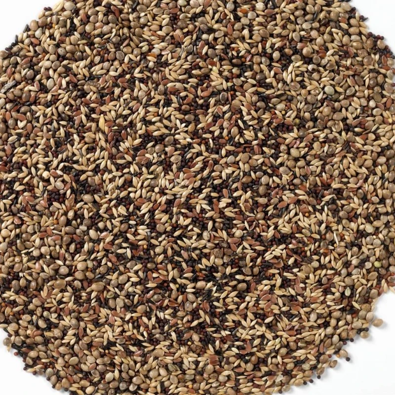 N°48 Tarins & Chardonnerets 20kg - Deli Nature 4 N°48 Tarins & Chardonnerets 20kg - Deli Nature – Image 2