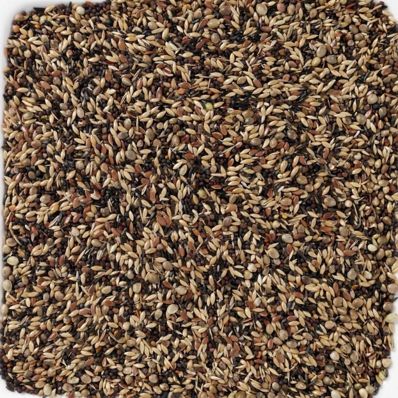 N°58 Tarins & Chardonnerets Supreme 20kg - Deli Nature 4 N°58 Tarins & Chardonnerets Supreme 20kg - Deli Nature – Image 2