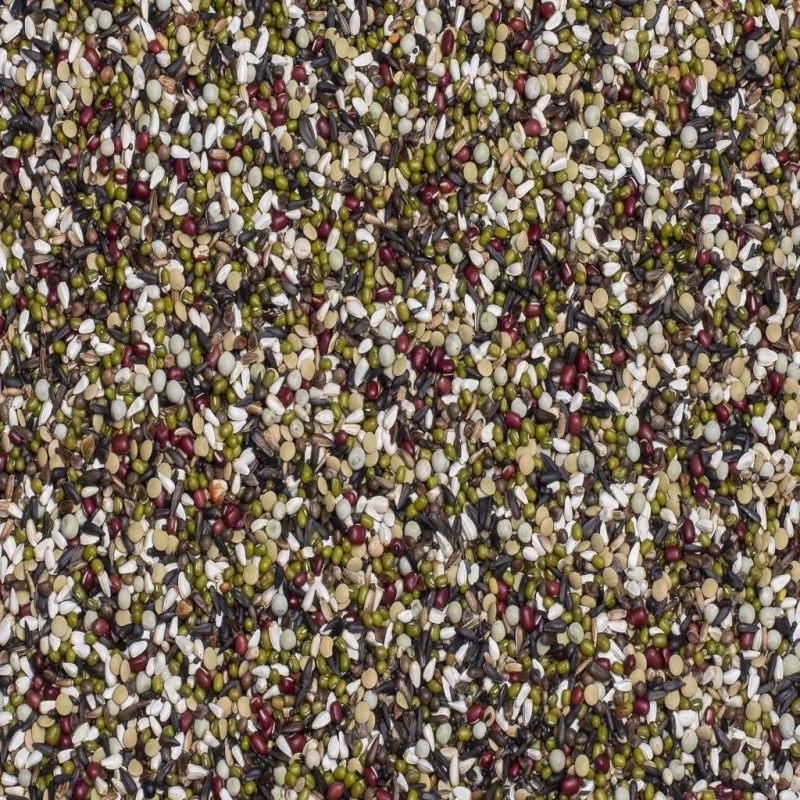 N°63 Graines à Germer Indigènes Et Perruches 15kg - Deli Nature 4 N°63 Graines à Germer Indigènes Et Perruches 15kg - Deli Nature – Image 2