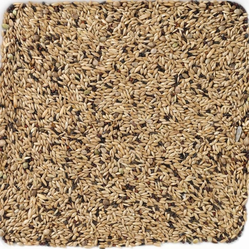 N°65 Canaris Light 20kg - Deli Nature 4 N°65 Canaris Light 20kg - Deli Nature – Image 2