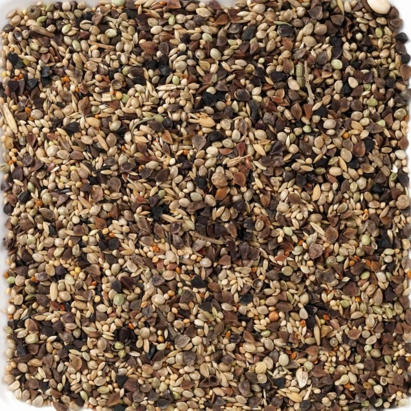 N°71 Agapornis Premium 20kg - Deli Nature 4 N°71 Agapornis Premium 20kg - Deli Nature – Image 2