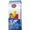 N°81 Canaris Light Sans Navettes 20kg - Deli Nature -Oiseau Fournitures Boutique n81 canaris light sans navettes 20kg deli nature 006381 deli nature est un melange de qualite et leger pour canaris ingredients
