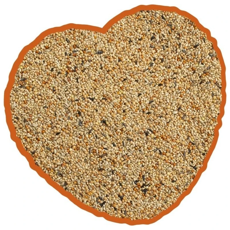 Oiseau Tropical Mix 4kg - Duvo+ 4 Oiseau Tropical Mix 4kg - Duvo+ – Image 2