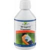 Oregano Vloeibaar / Oregano Liquid 250ml - Avian 1 Oregano Vloeibaar / Oregano Liquid 250ml - Avian -Oiseau Fournitures Boutique oregano vloeibaar oregano liquid 250ml avian 11397 avian avian liquide dorigan est un aliment complementaire pour les oiseaux on