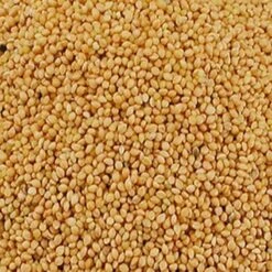 Panis Jaune 20kg - Duvo -Oiseau Fournitures Boutique panis jaune 20kg duvo 473 duvo panis jaune 20kg duvo 1