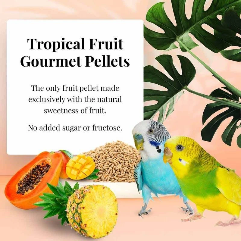 Tropical Fruit Gourmet Pellets Perruche 567gr - Lafeber's 4 Tropical Fruit Gourmet Pellets Perruche 567gr - Lafeber's – Image 2