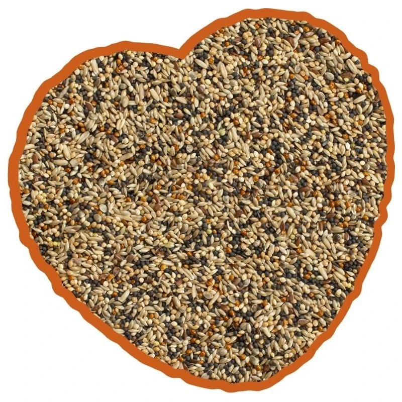 Volière Mix 20kg - Duvo+ 4 Volière Mix 20kg - Duvo+ – Image 2